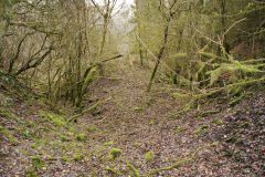 
Lascarn Quarry, Northern tramroad junction, March 2009